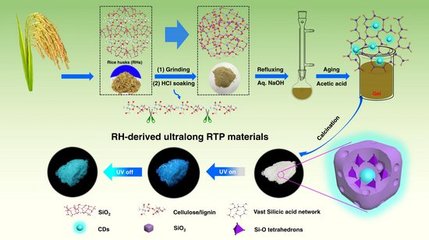 華南農大劉應亮教授團隊生物質基碳點室溫磷光材料研究獲重要進展