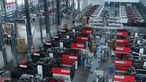 中國科學院發(fā)布多個生物多樣性成果 我國基本摸清主要生物類群和植被類型