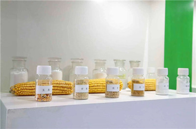 【大國小鮮@新發(fā)展理念】濮陽市南樂縣:發(fā)展生物基材料產業(yè) 助力生態(tài)文明建設