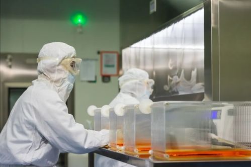 建交60載,中法關系的重要性不只在經濟合作