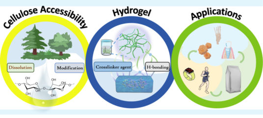 【學術(shù)進展】新疆農(nóng)業(yè)大學李君副教授發(fā)表纖維素溶解、改性及材料調(diào)控的綜述