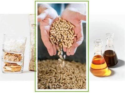 斯道拉恩索2019年業(yè)績解讀 生物質(zhì)材料事業(yè)部生物基材料銷售亮點